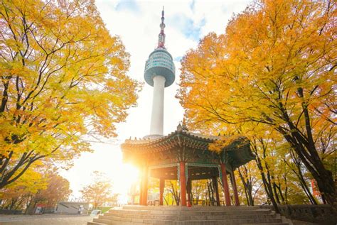  광안시 난산 공원, 아름다운 자연과 역사의 교차로를 경험하세요!